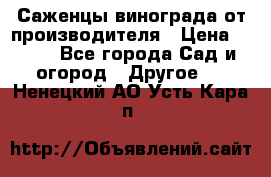 Саженцы винограда от производителя › Цена ­ 800 - Все города Сад и огород » Другое   . Ненецкий АО,Усть-Кара п.